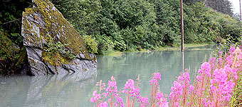 Nachbarrecht Stuttgart - Grillen und Nachbarn